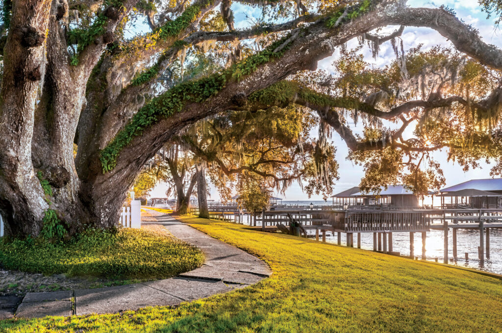 living in fairhope alabama