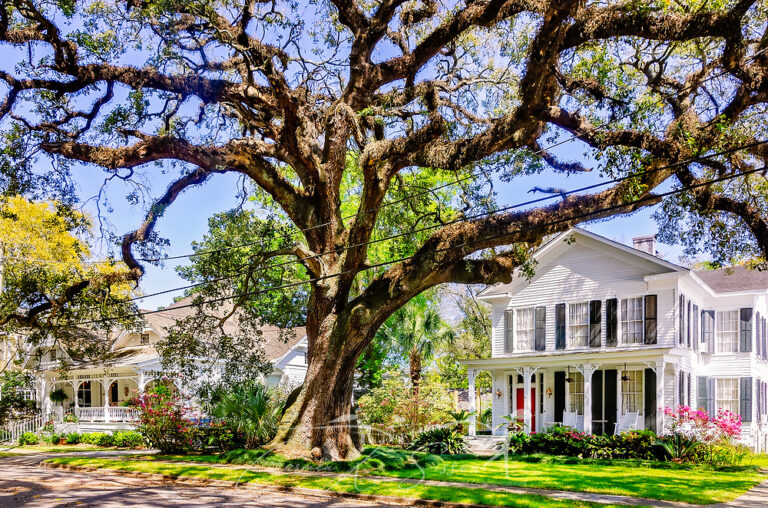 Finding Your Home In The Best Neighborhoods in Mobile Alabama YourRealEstateFam