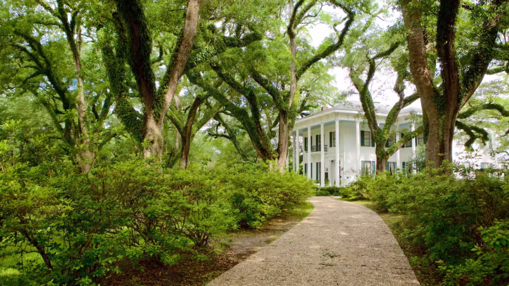 moving to lower alabama