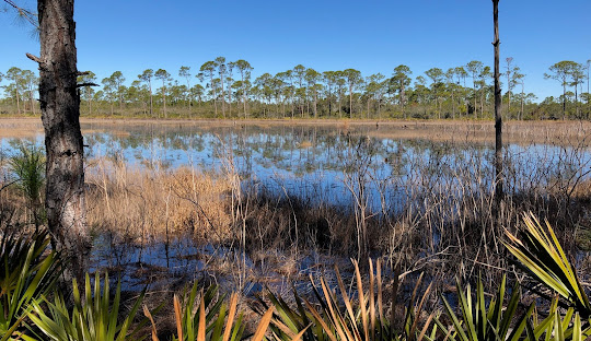 baldwin county alabama homes