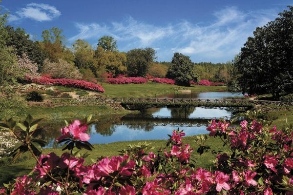 things to do in mobile alabama